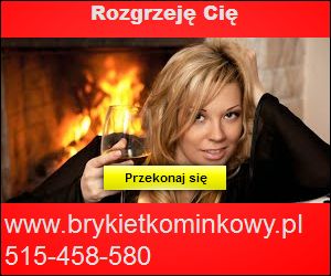 www.brykietkominkowy.pl